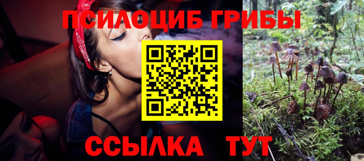Галлюциногенные грибы ЛСД  Псилоцибиновые грибы мухоморы  Вход с VPN  Подольск 